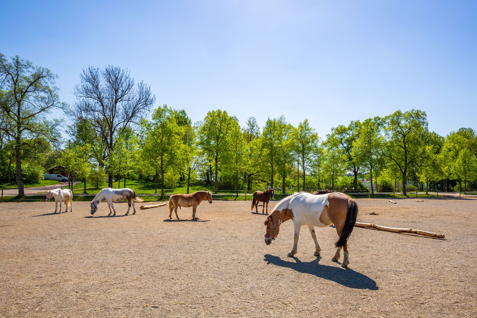 Bostadsrätt, Aspnäsvägen 16, Vån 11/11, Jakobsberg, Järfälla