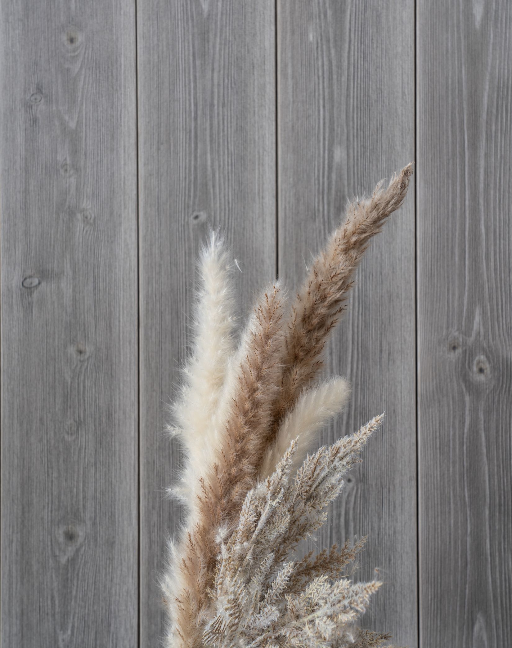 Fritidshus, Höglandet Regnbågsvägen 8, Härjedalen