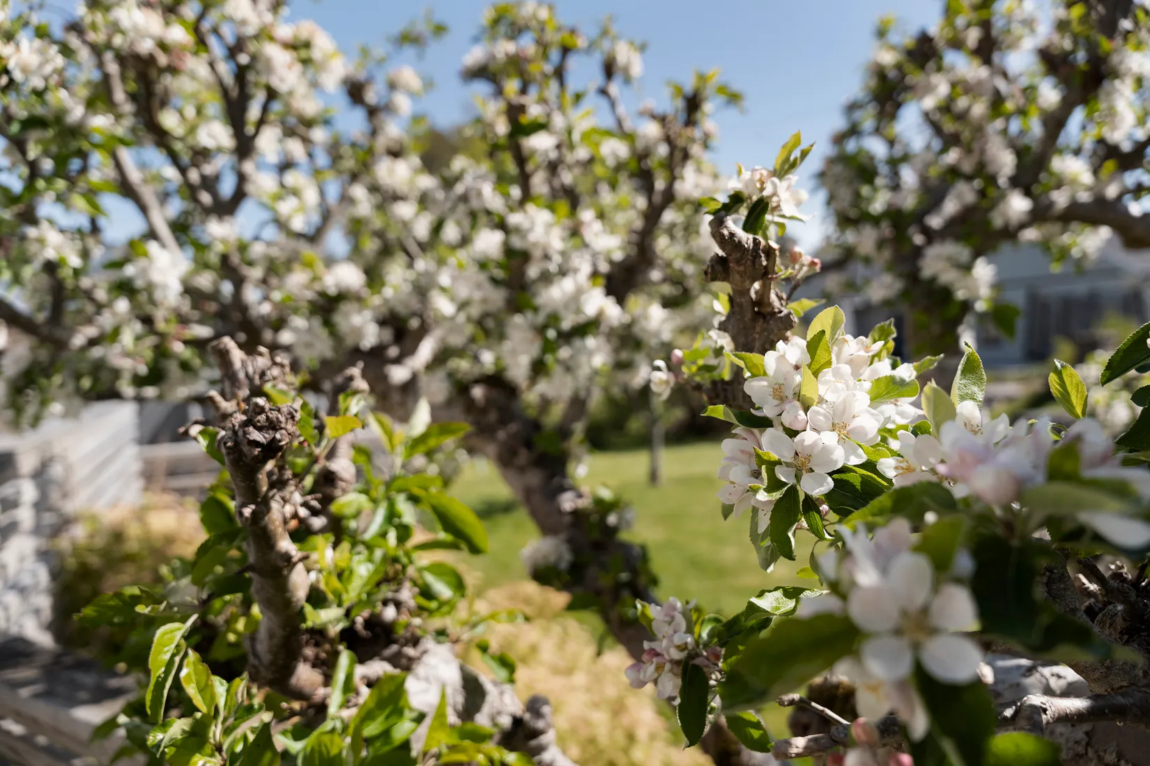 Villa, Tomtevägen 39, Mariedal, Vänersborg
