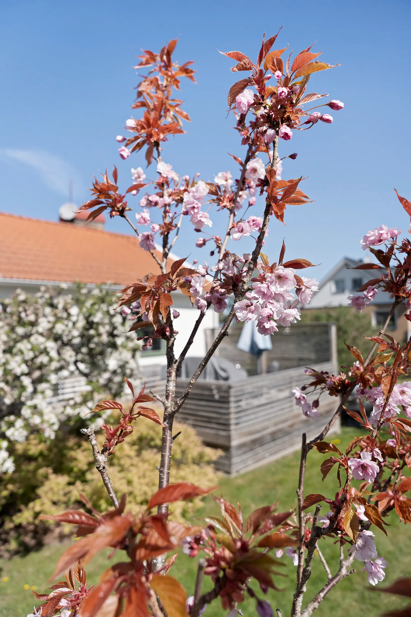 Villa, Tomtevägen 39, Mariedal, Vänersborg