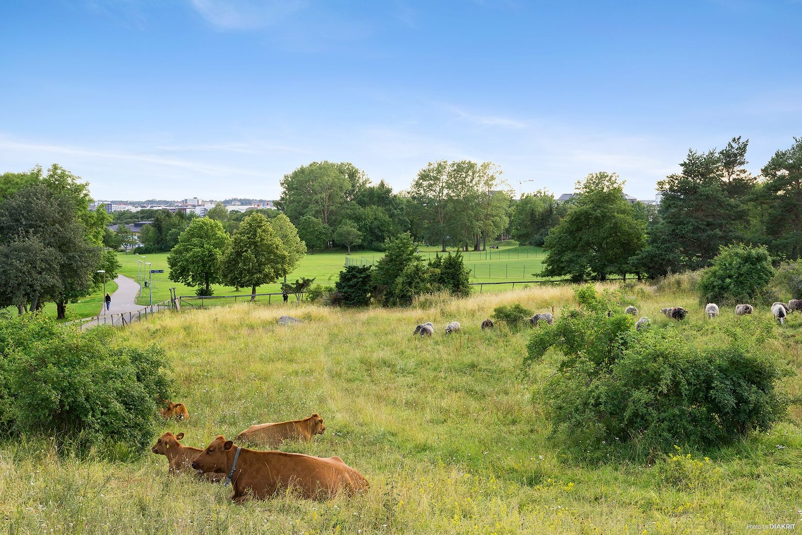 Bostadsrätt, Råbyvägen 57E, Gränby, Uppsala
