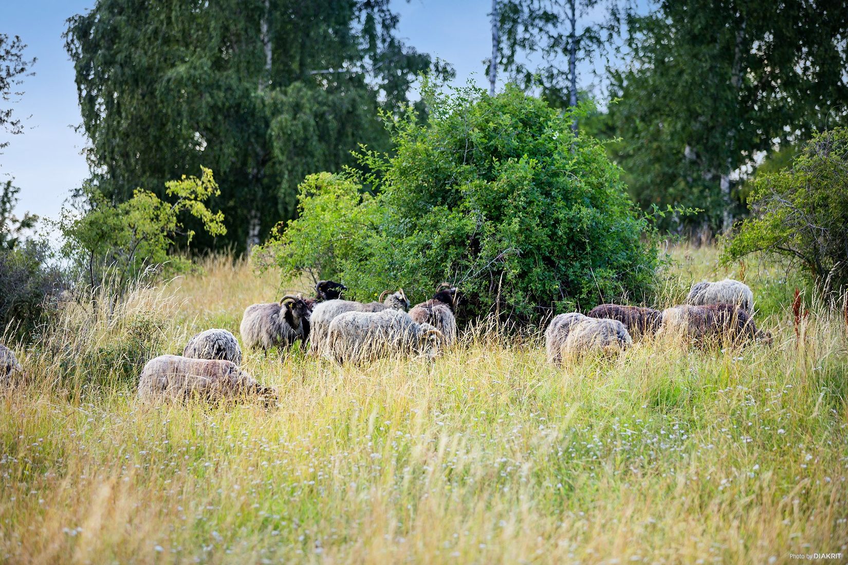 Bostadsrätt, Råbyvägen 57E, Gränby, Uppsala