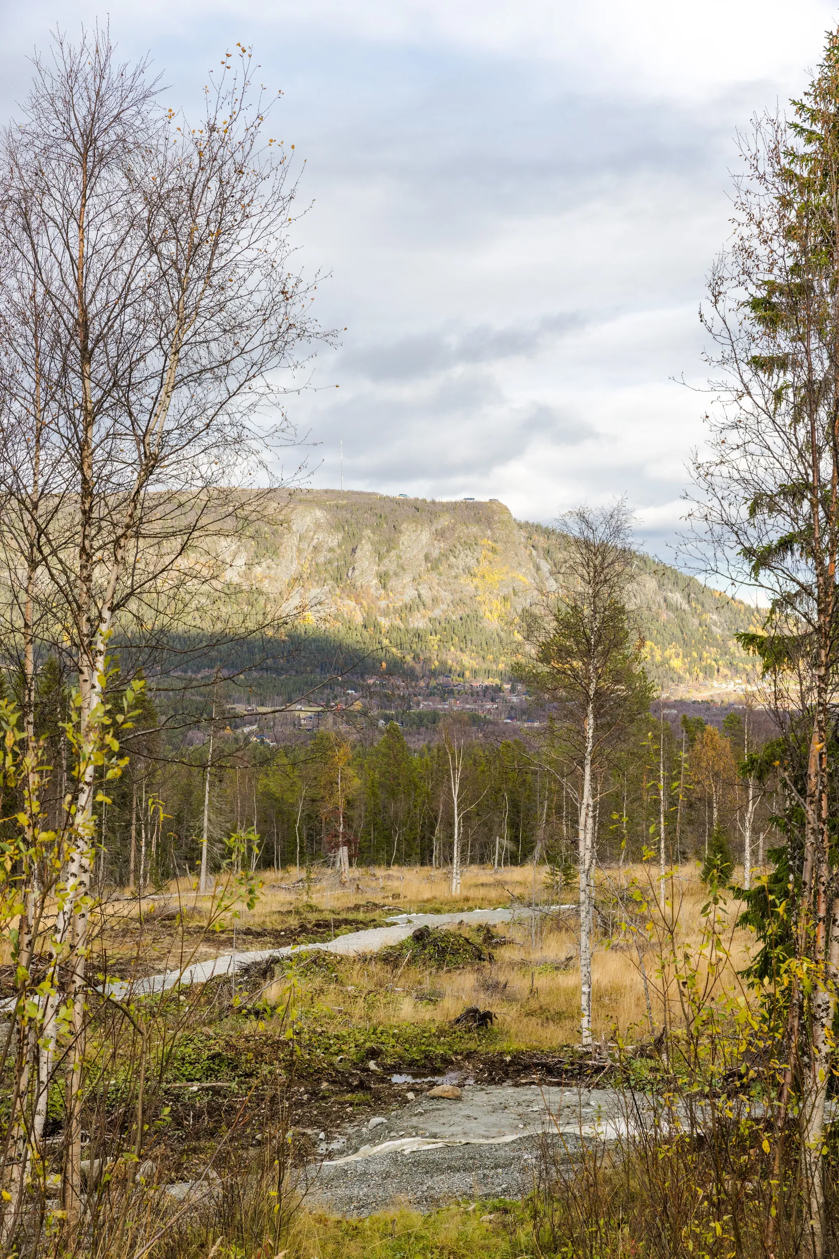 Tomt, Rörosvägen 135A, Funäsdalen by, Härjedalen