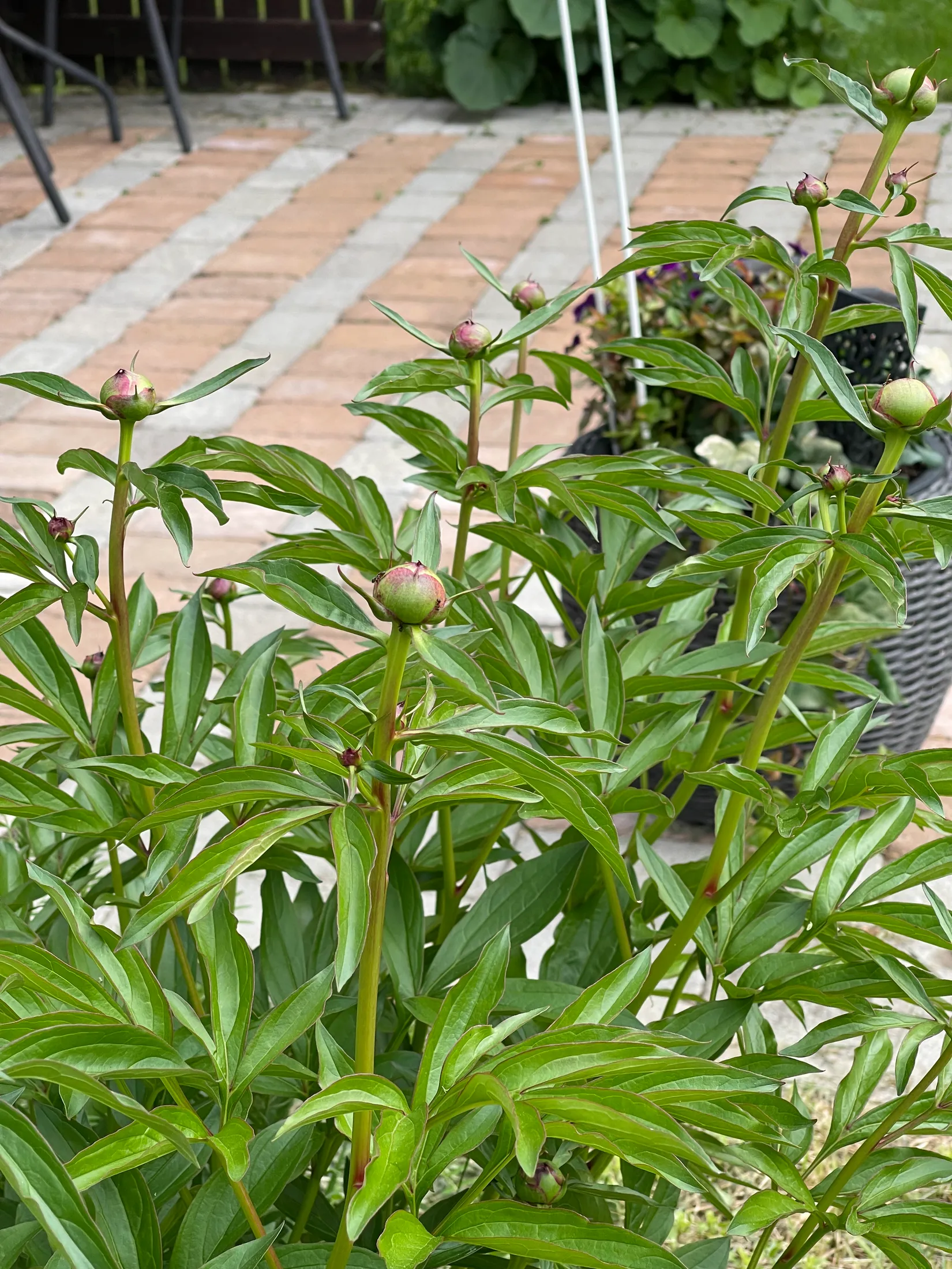 Fritidshus, Nöjdvägen 5, Maggås, Orsa