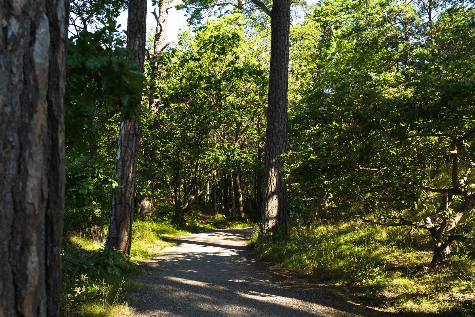 Bostadsrätt, Björnsonsgatan 138, 7.5 tr, Bromma / Blackeberg, Stockholm