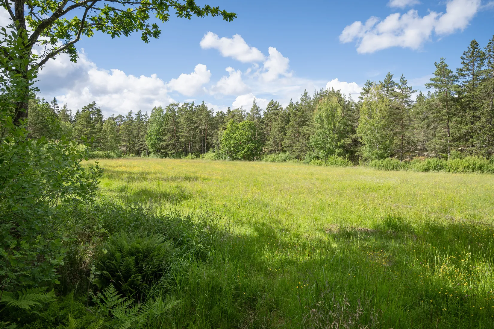 Tomt, Kälebo 29, Arkösund, Norrköping