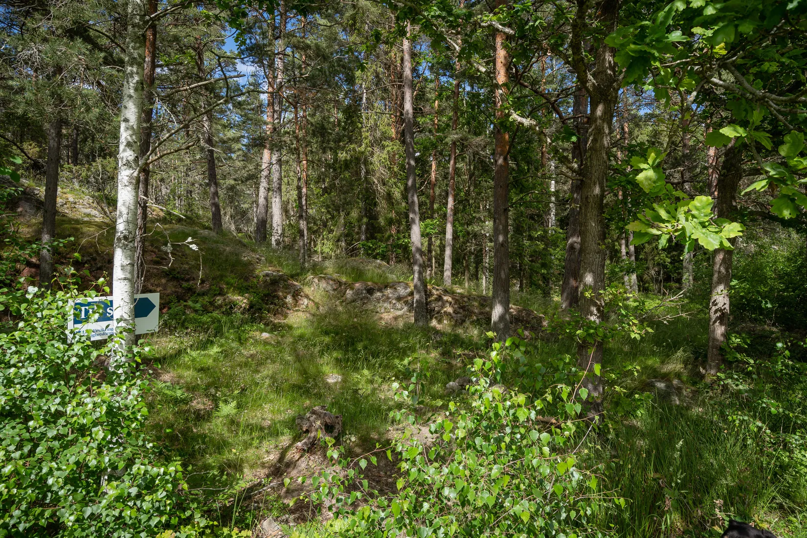 Tomt, Kälebo 29, Arkösund, Norrköping
