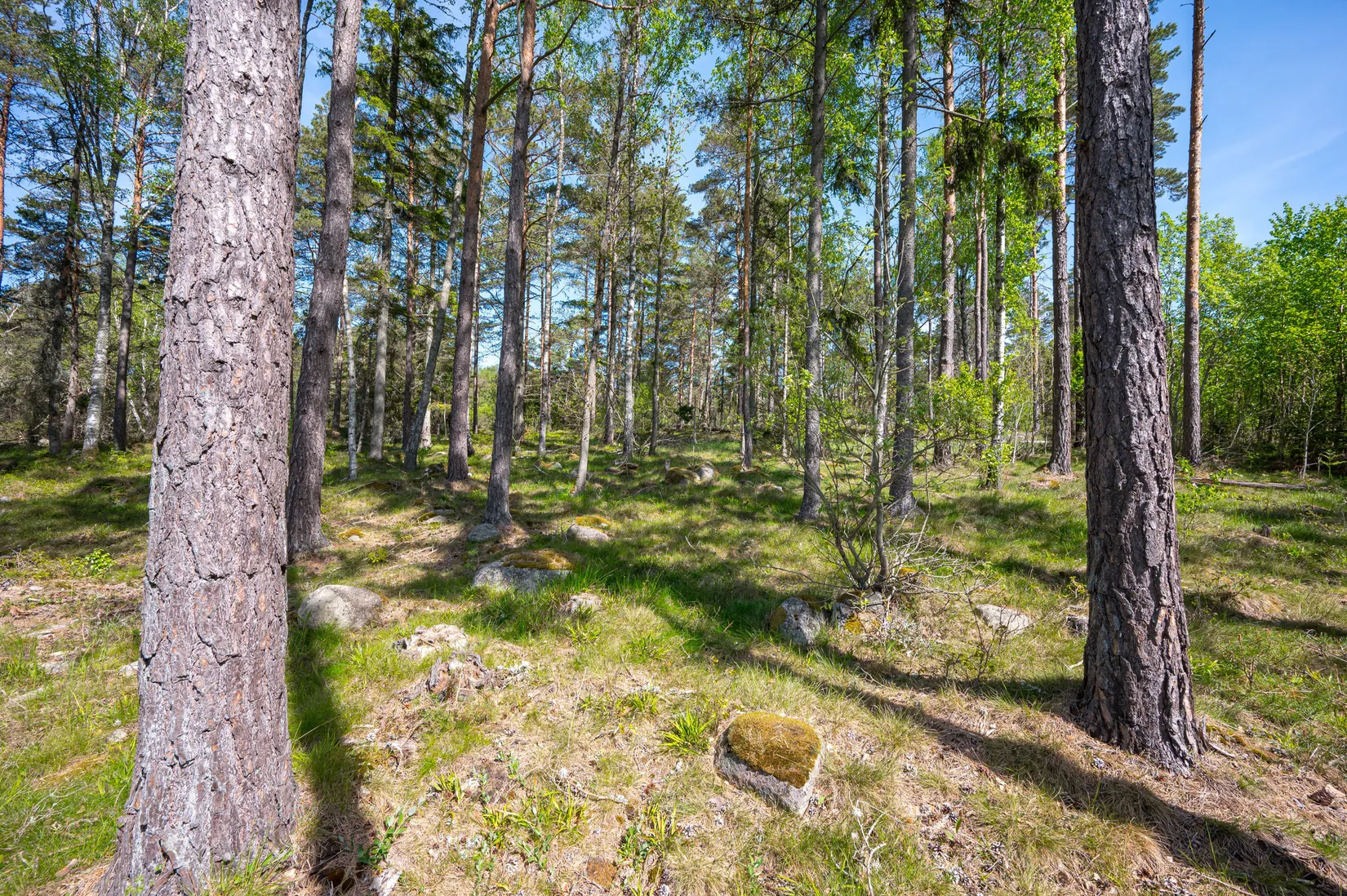 Tomt, Bjälveröd 12, Båleröd, Strömstad