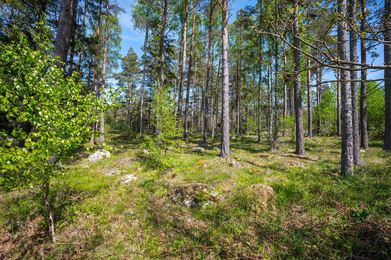 Tomt, Bjälveröd 12, Båleröd, Strömstad