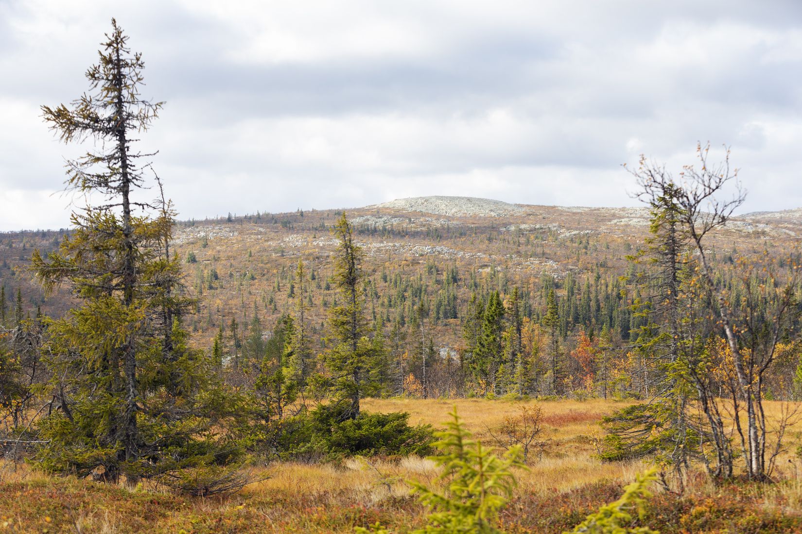 Radhus, Svampstigen 6A, Svampstigen, Utsikten, Storhogna, Berg