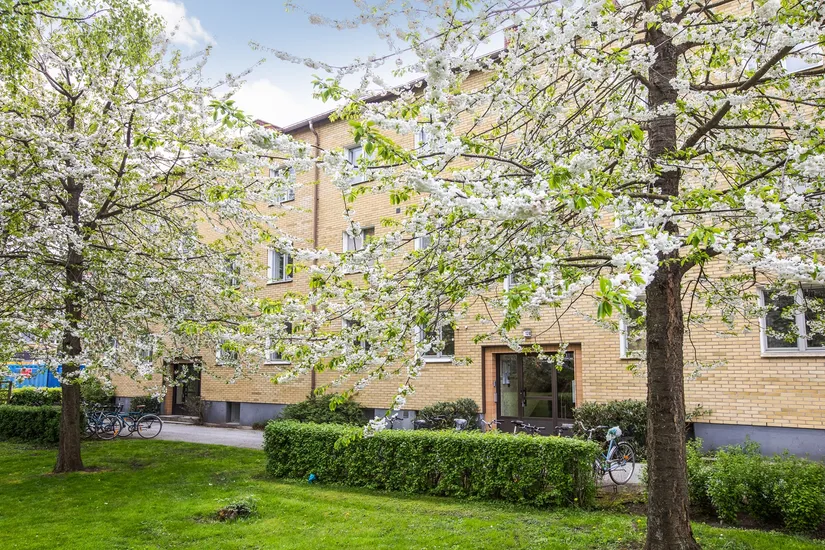 Bostadsrätt, Måsvägen 12B, Väster , Lund