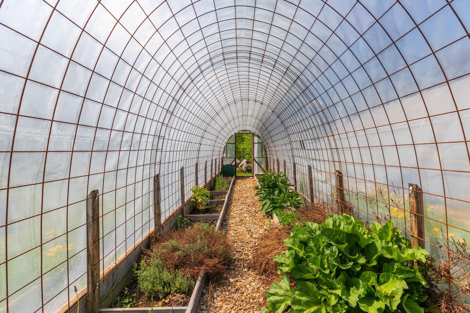 Gård/Skog, Besekull 1, Sandsjöfors, Nässjö