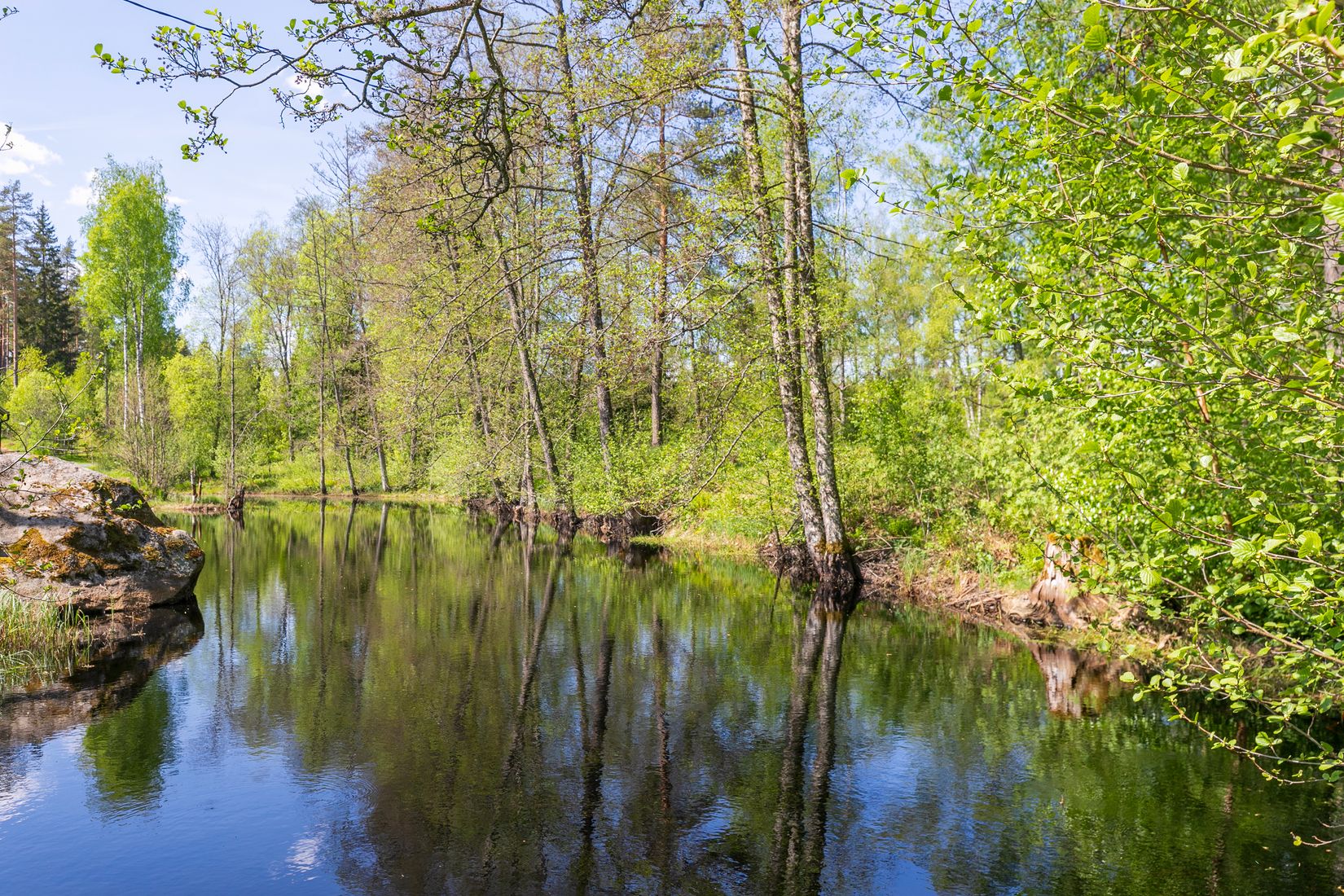 Gård/Skog, Besekull 1, Sandsjöfors, Nässjö