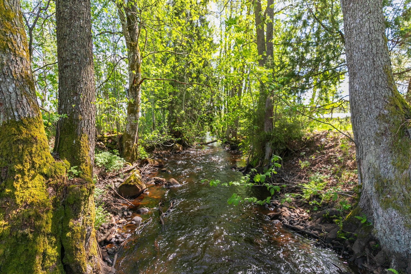 Gård/Skog, Besekull 1, Sandsjöfors, Nässjö