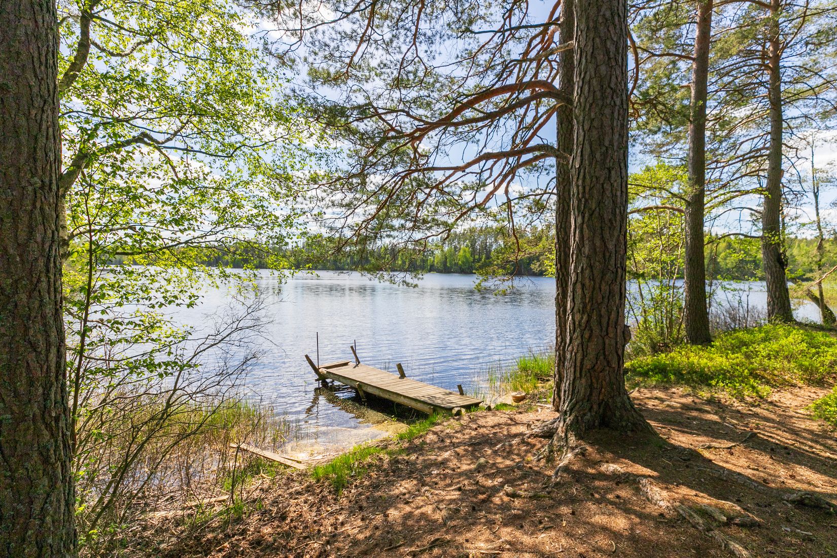 Gård/Skog, Besekull 1, Sandsjöfors, Nässjö
