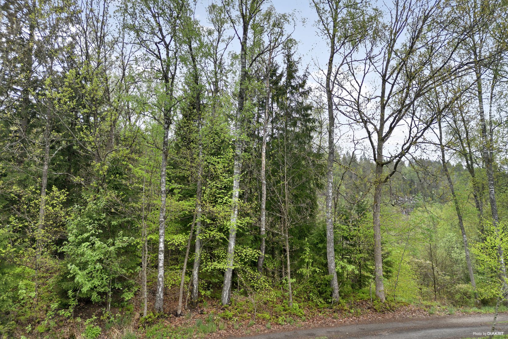 Tomt, Vikhöjdsvägen, Sandared, Borås