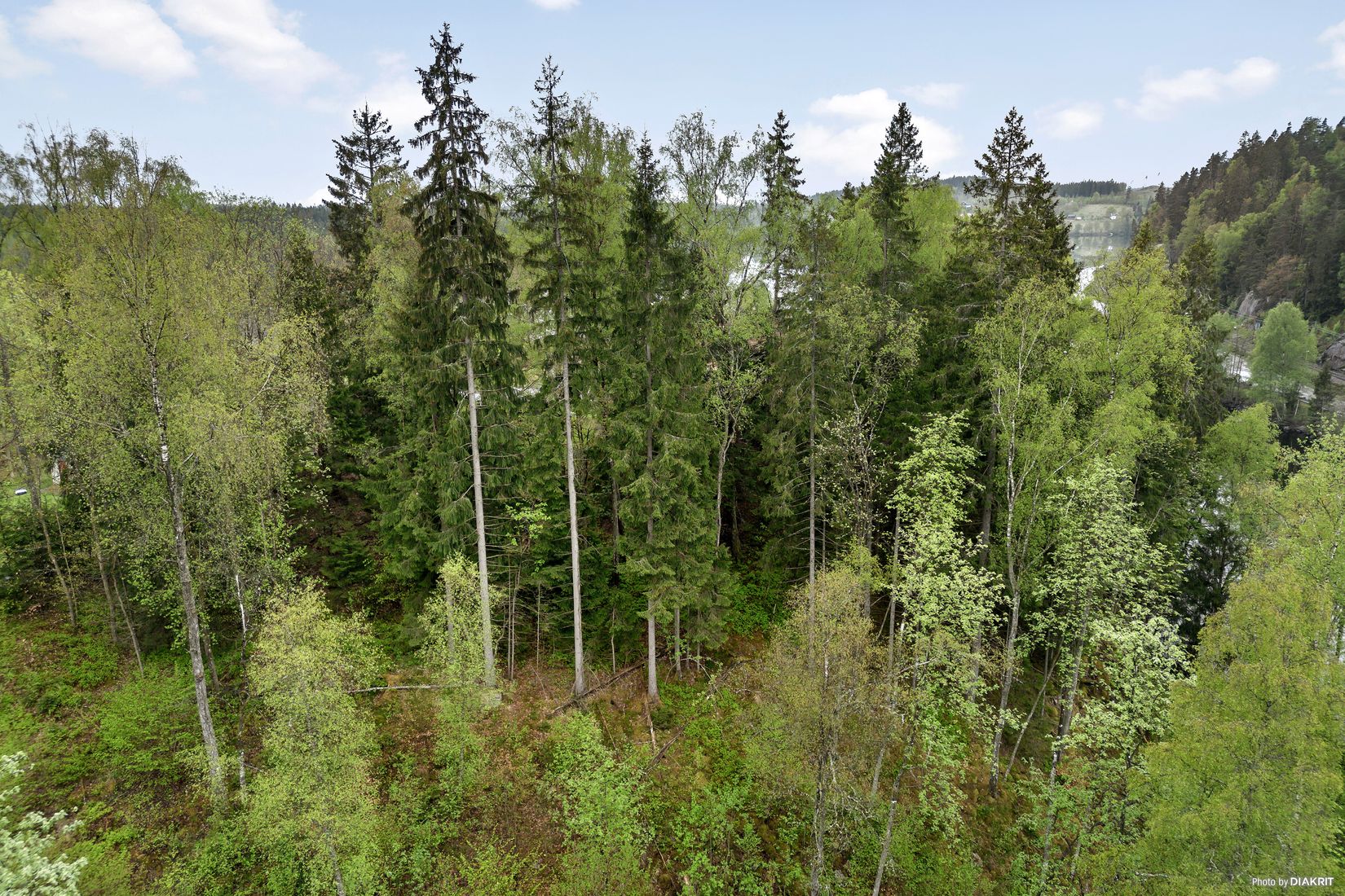 Tomt, Vikhöjdsvägen, Sandared, Borås