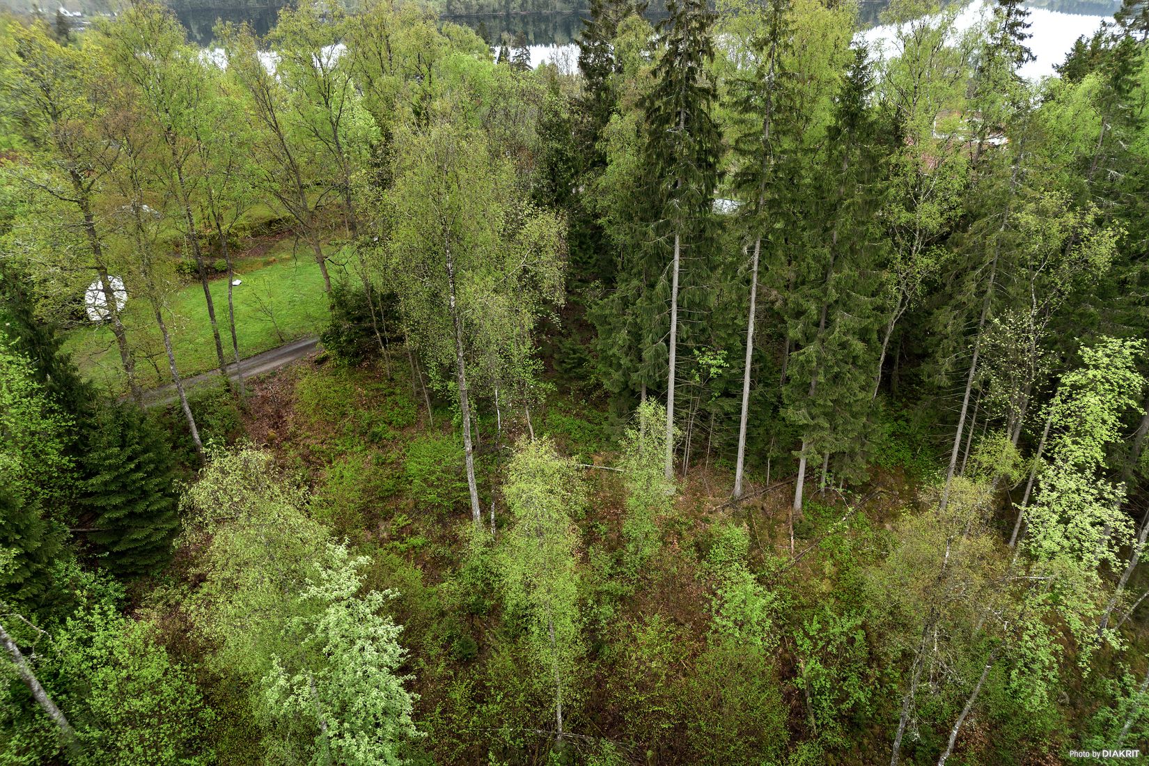 Tomt, Vikhöjdsvägen, Sandared, Borås