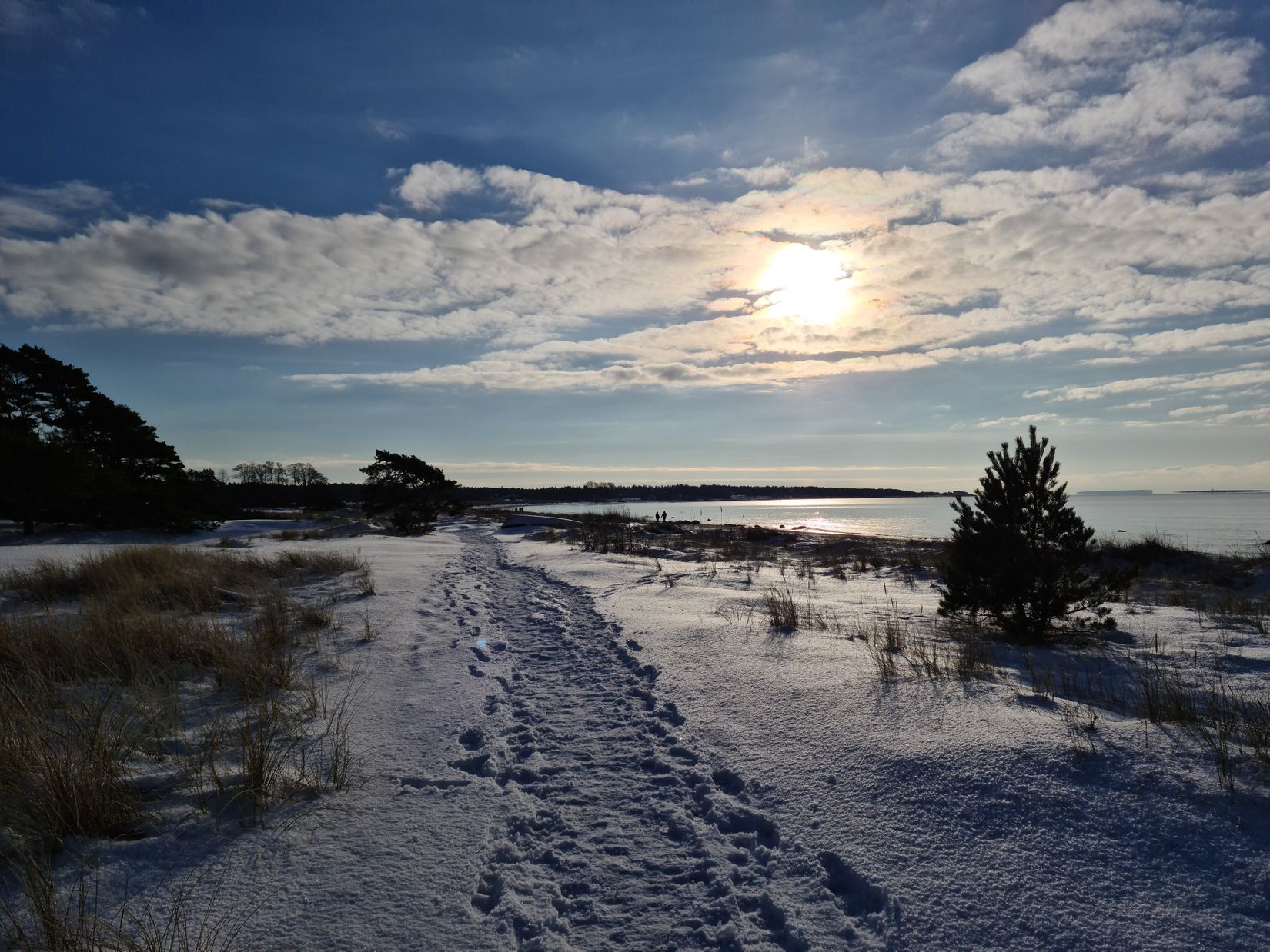 Bostadsrätt, Toftavägen 368, Gotlands Tofta, Gotland