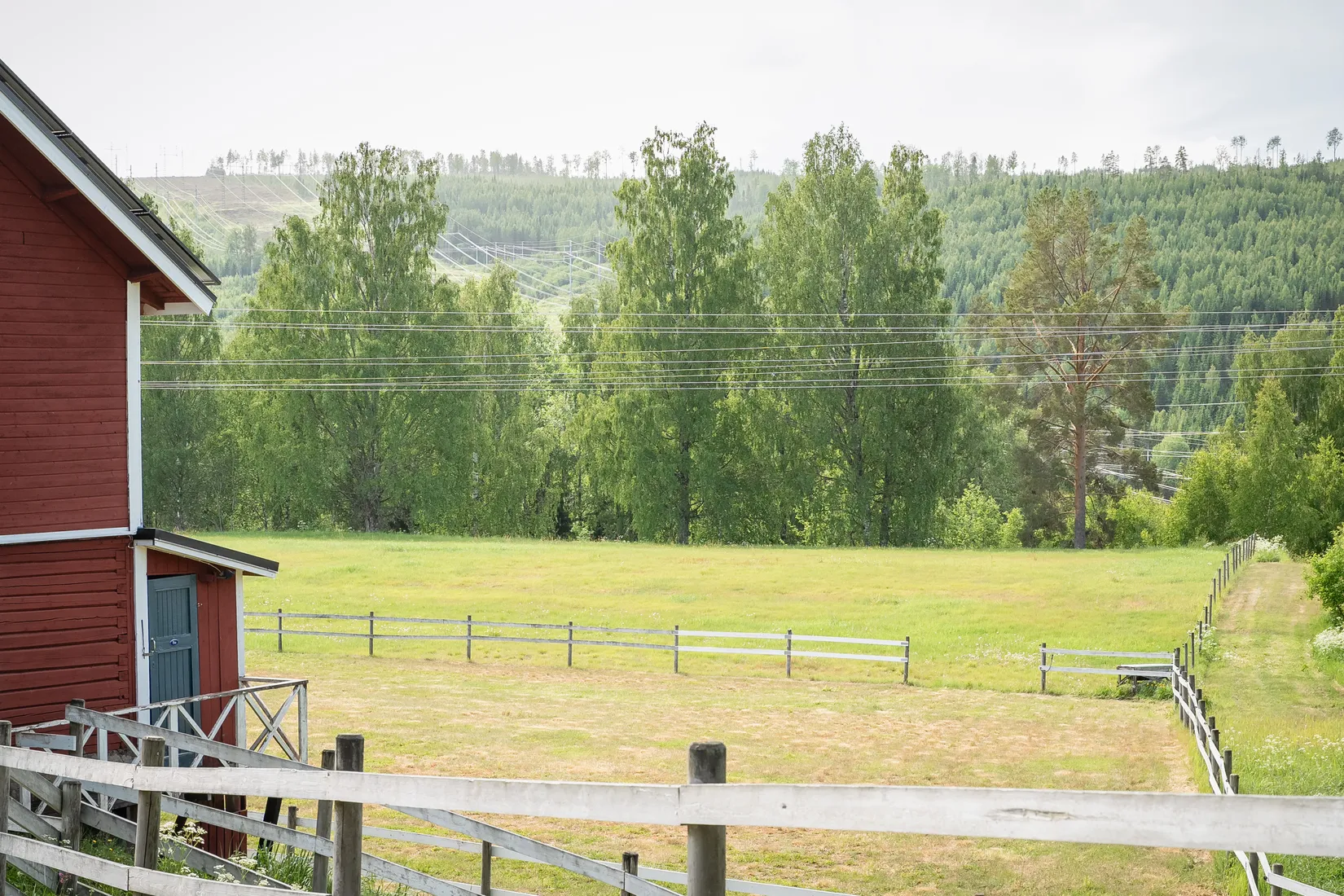 Gård/Skog, Baggböle 116, Indal, Sundsvall