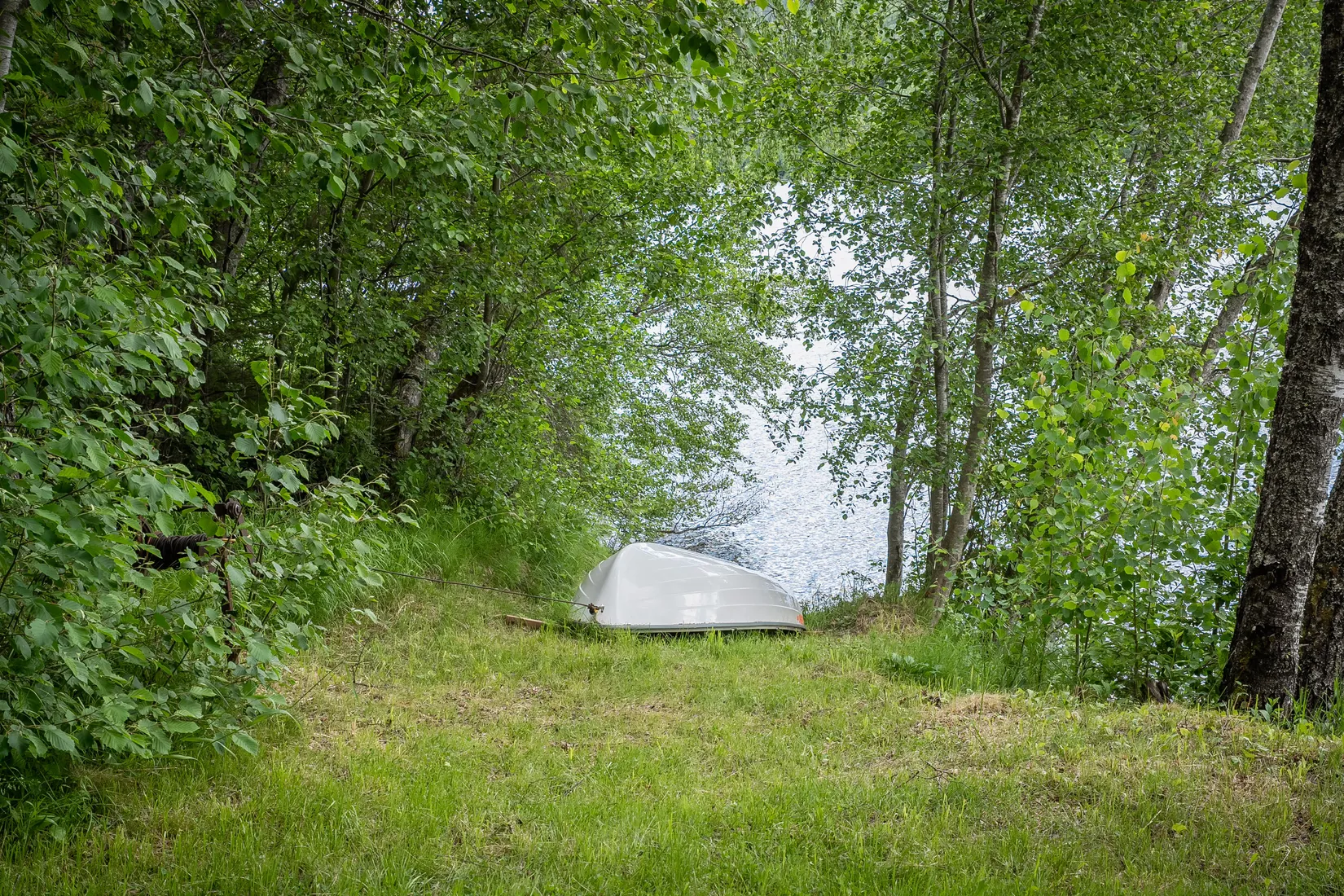 Gård/Skog, Baggböle 116, Indal, Sundsvall