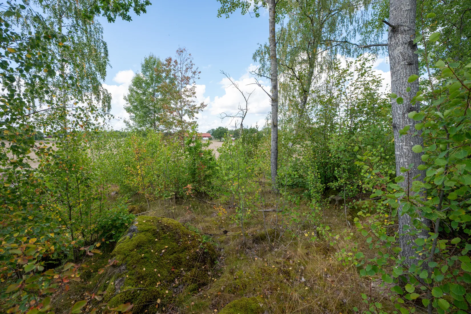 Tomt, Vårdsberg Ånestad, Vårdsberg, Linköping