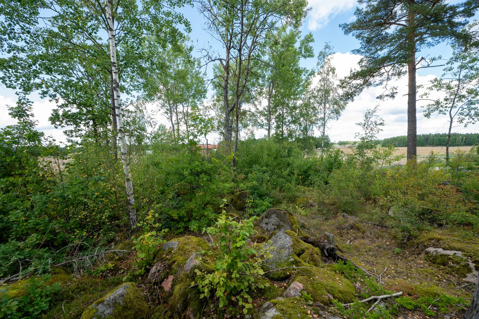 Tomt, Vårdsberg Ånestad, Vårdsberg, Linköping