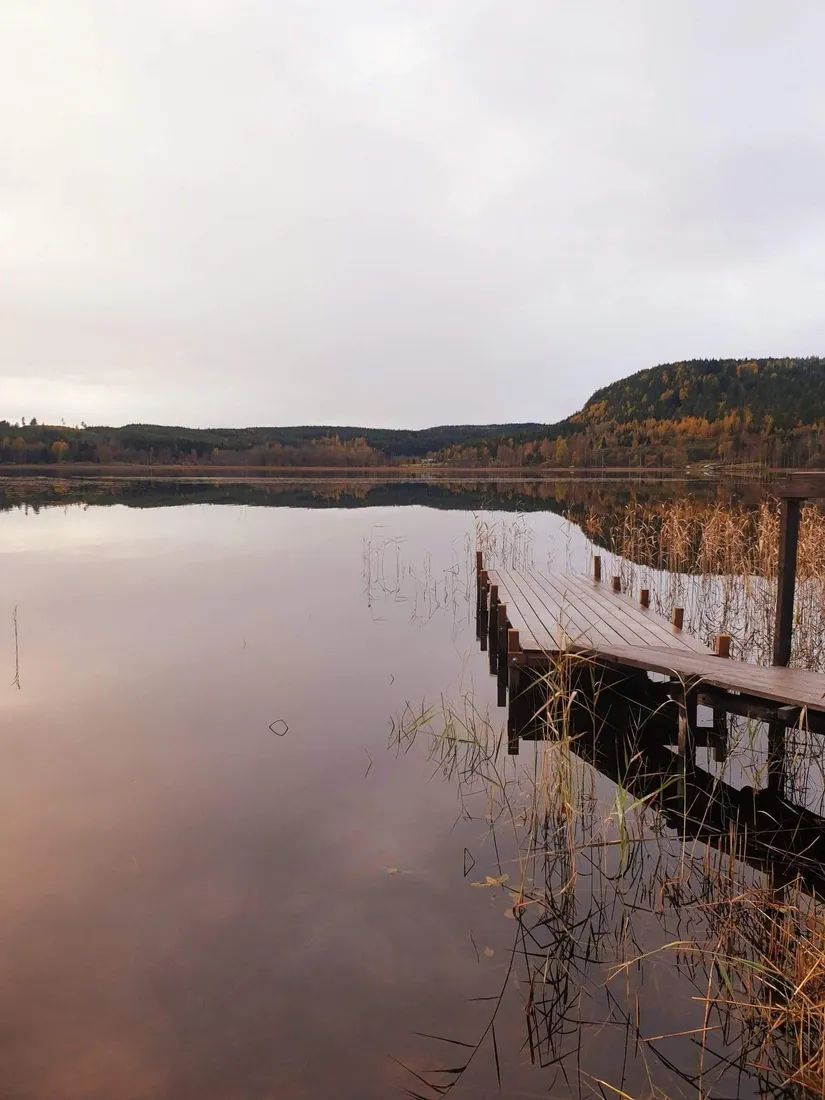 Tomt, Yckelsbo Sjöstig 8, Järvsö, Yckelsbo, Ljusdal