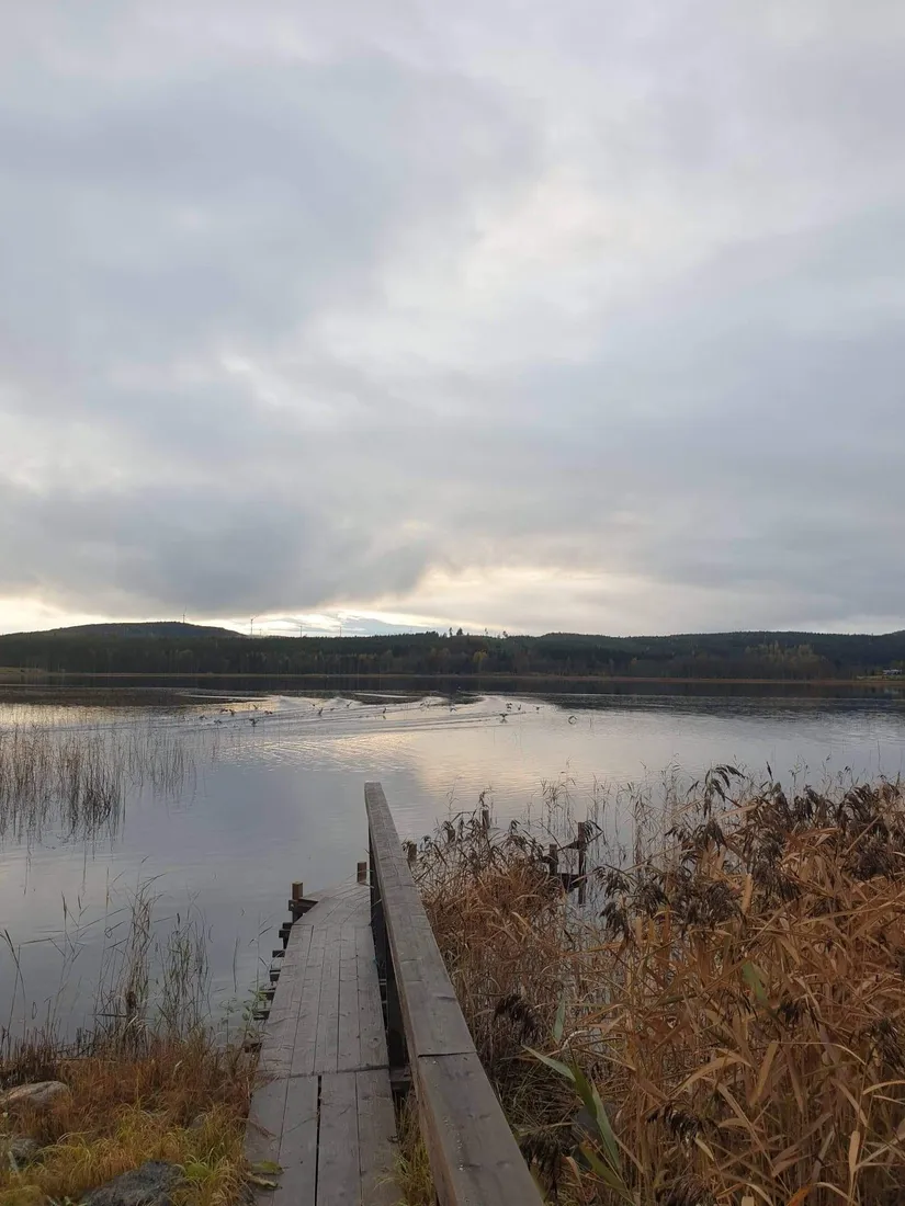 Tomt, Yckelsbo Sjöstig 8, Järvsö, Yckelsbo, Ljusdal