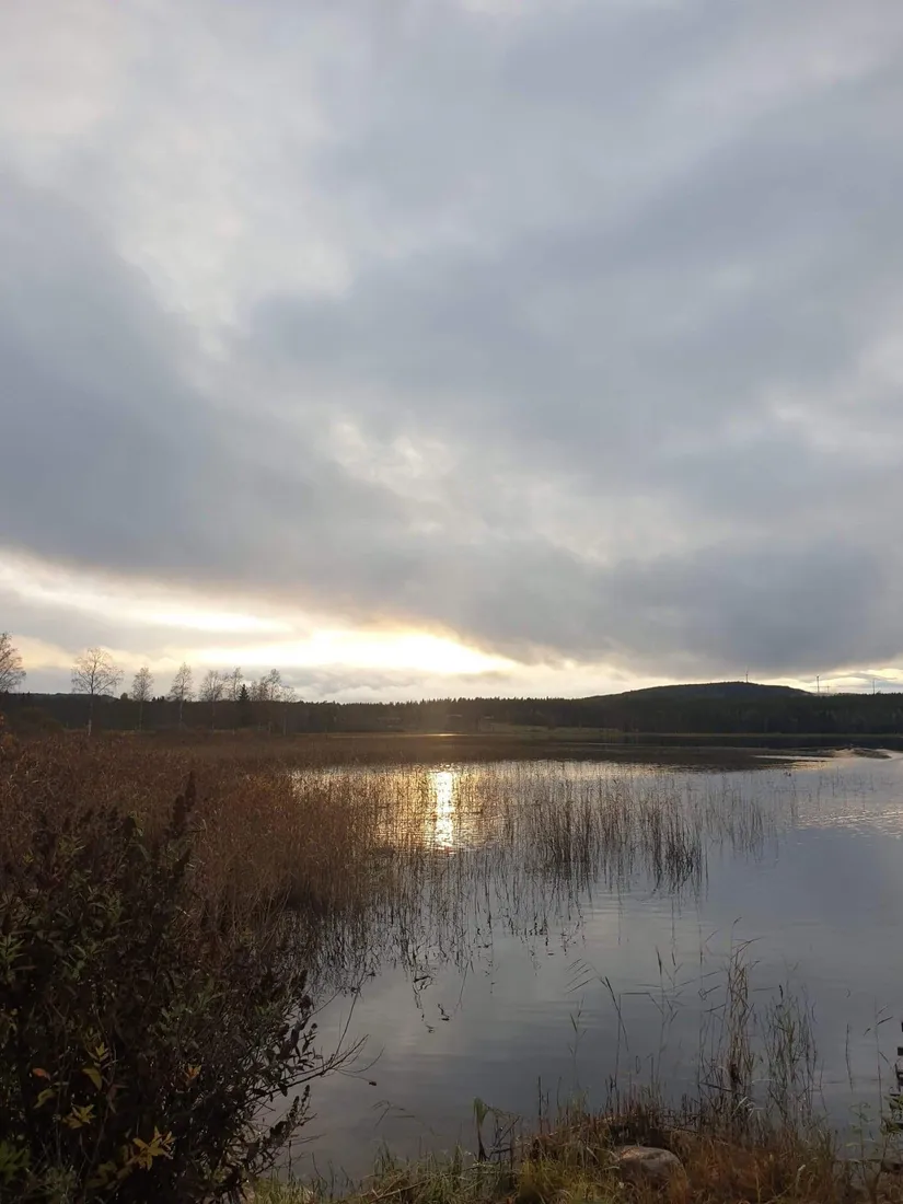 Tomt, Yckelsbo Sjöstig 8, Järvsö, Yckelsbo, Ljusdal