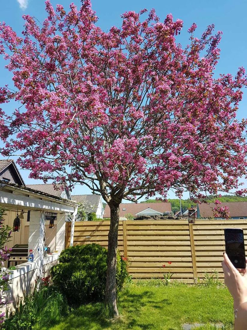 Villa, Rågvägen 24, Fjärås, Kungsbacka