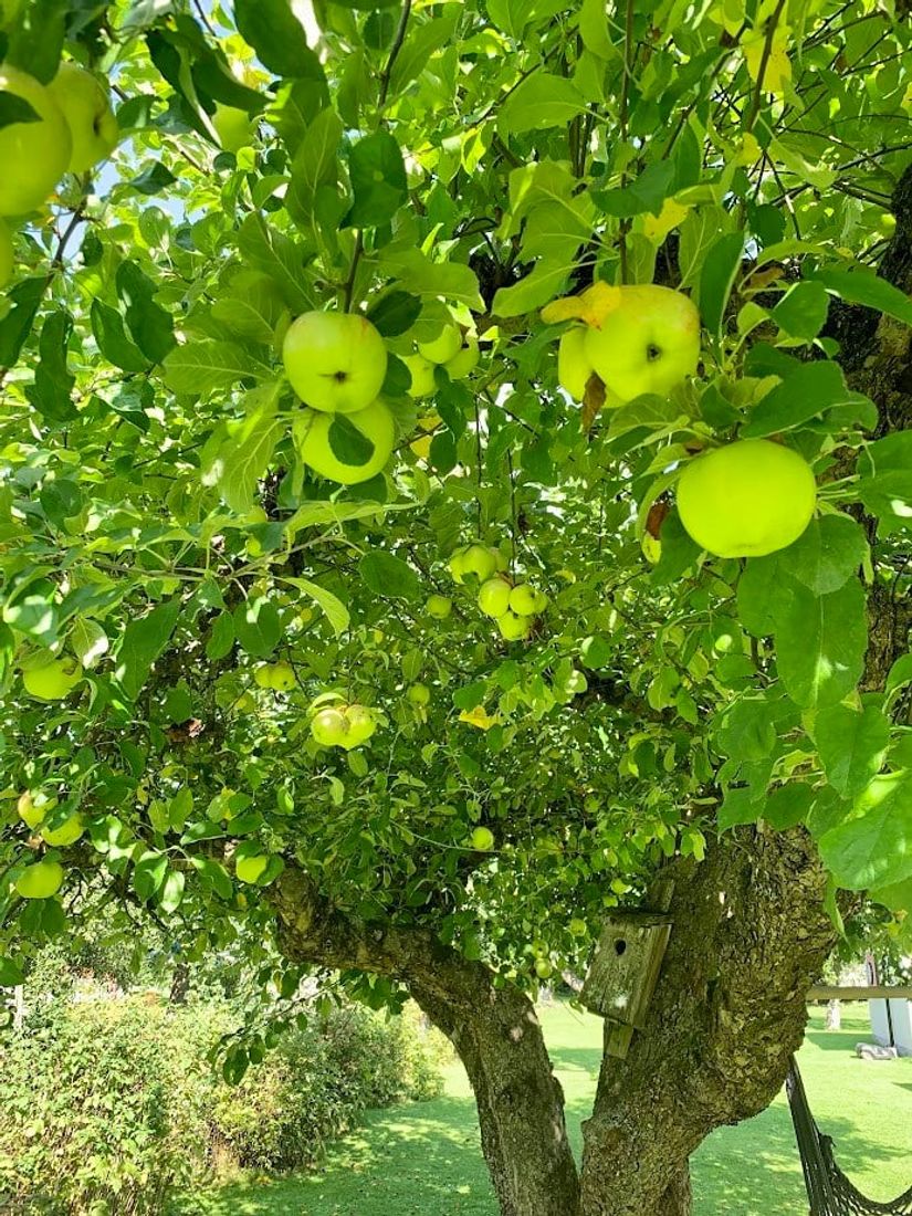 Villa, Lövängsvägen 17, Gamla Hjärsta, Örebro