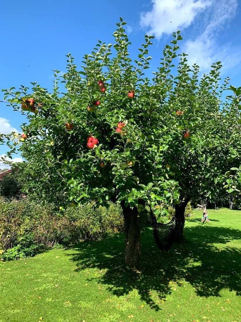 Villa, Lövängsvägen 17, Gamla Hjärsta, Örebro
