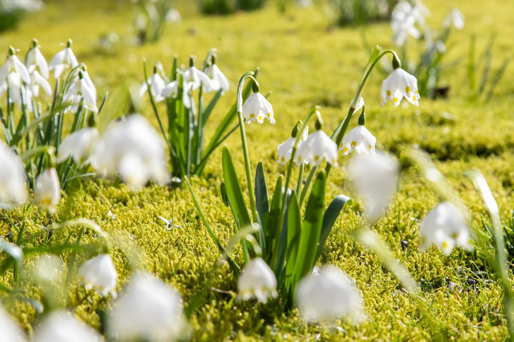 Fritidshus, Ryssavägen 15, Dagsås, Varberg
