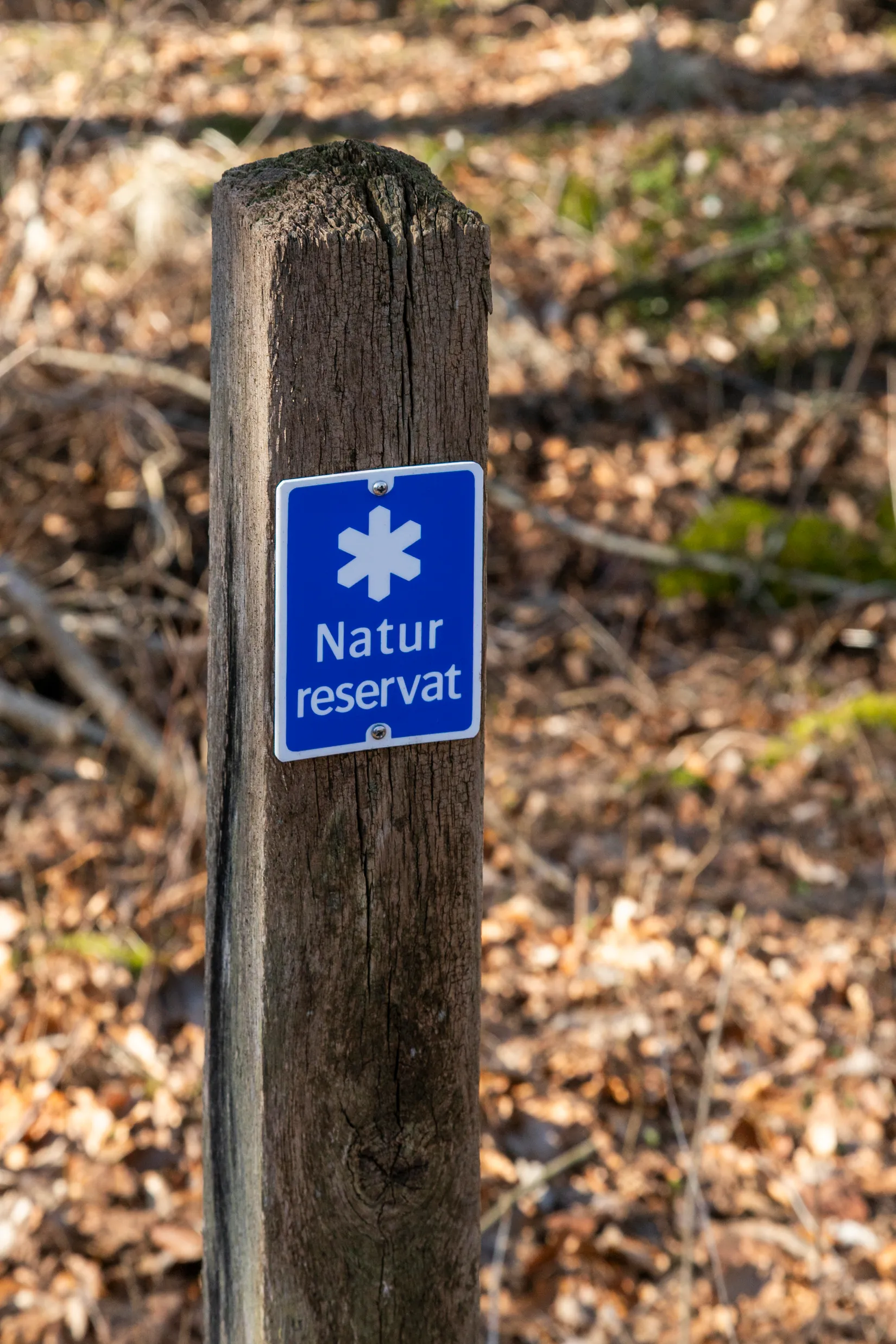 Fritidshus, Ryssavägen 15, Dagsås, Varberg