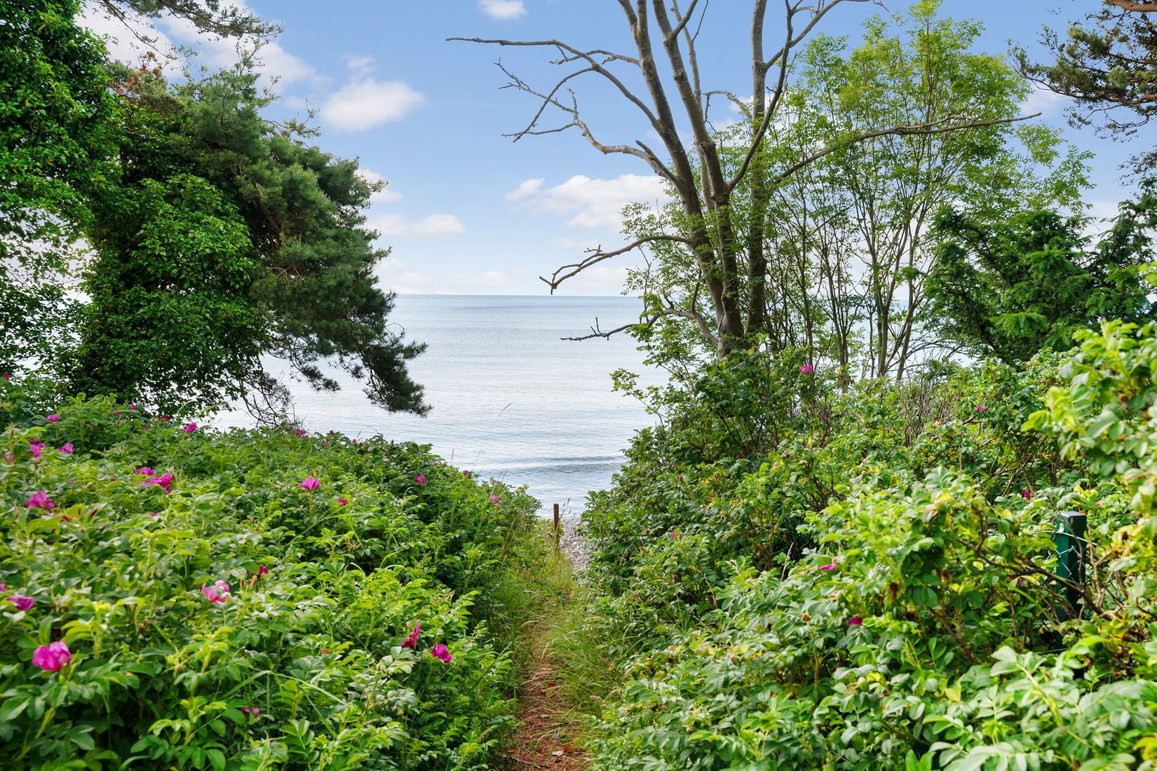 Tomt, Faxevägen 2, Abbekås, Skurup