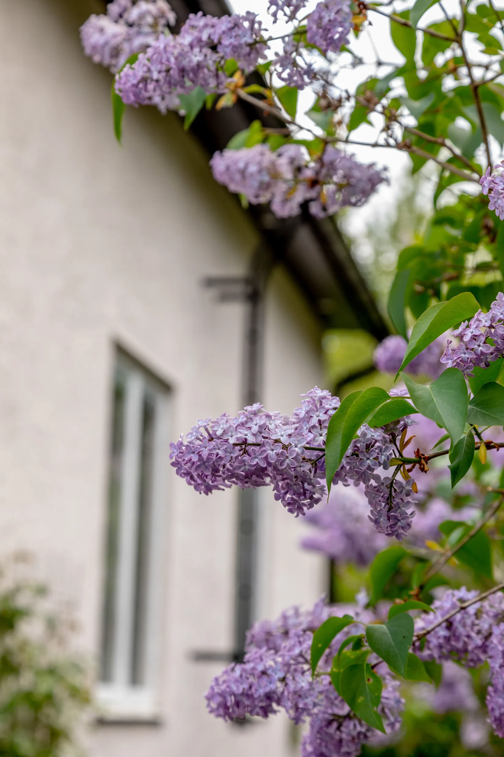 Villa, Trollbergsvägen 26, Högsby