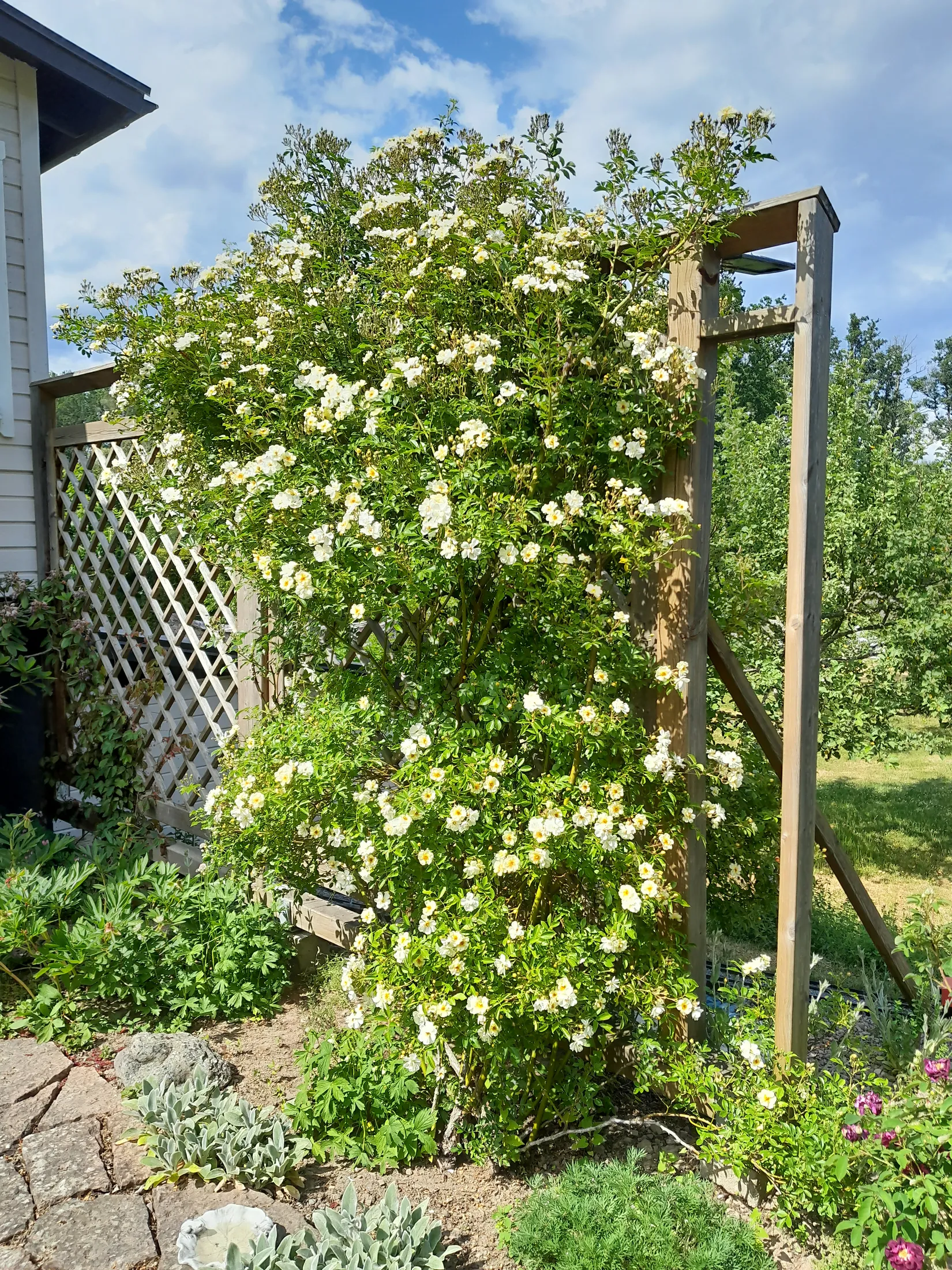 Villa, Trollbergsvägen 26, Högsby