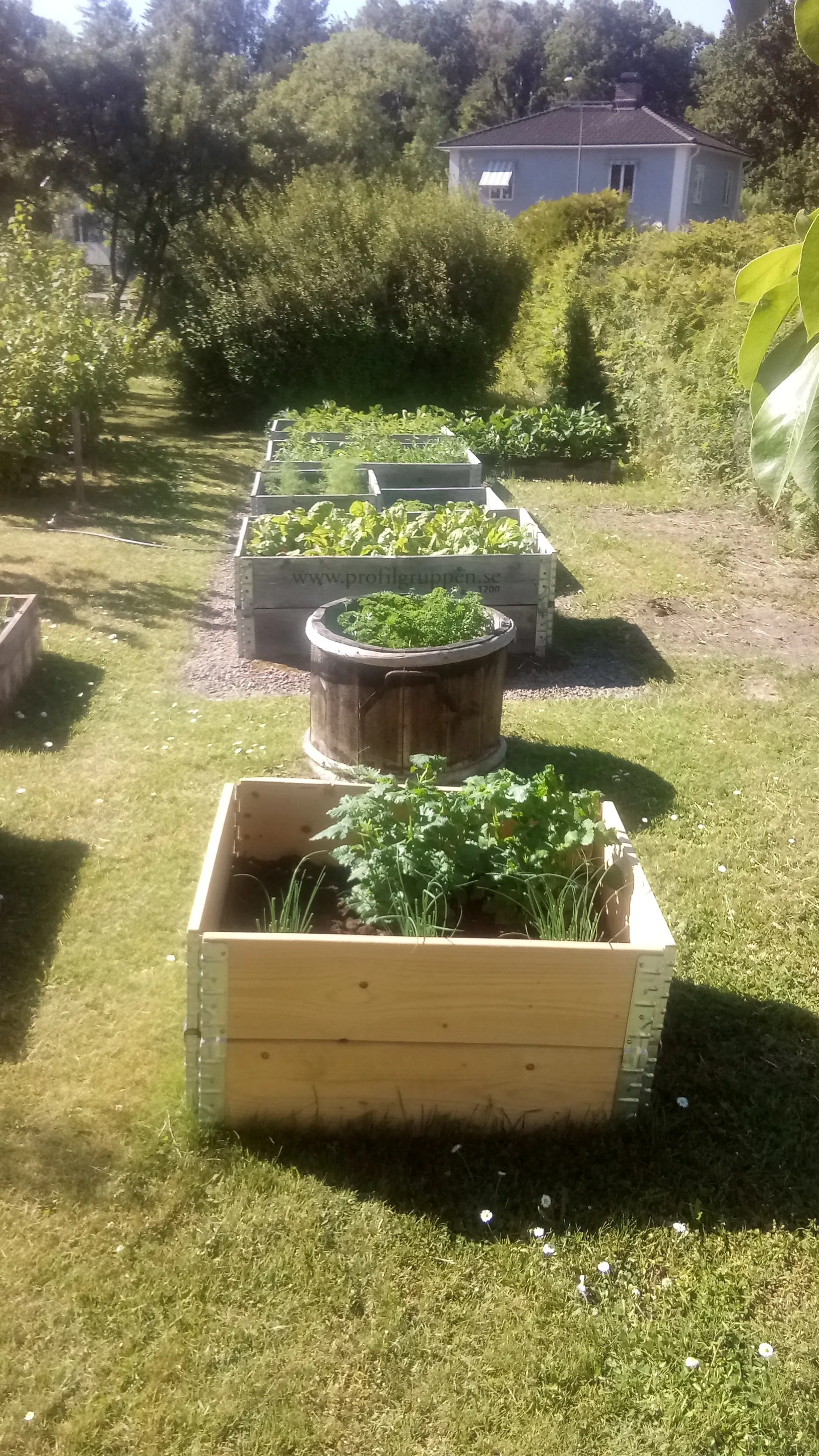 Villa, Trollbergsvägen 26, Högsby