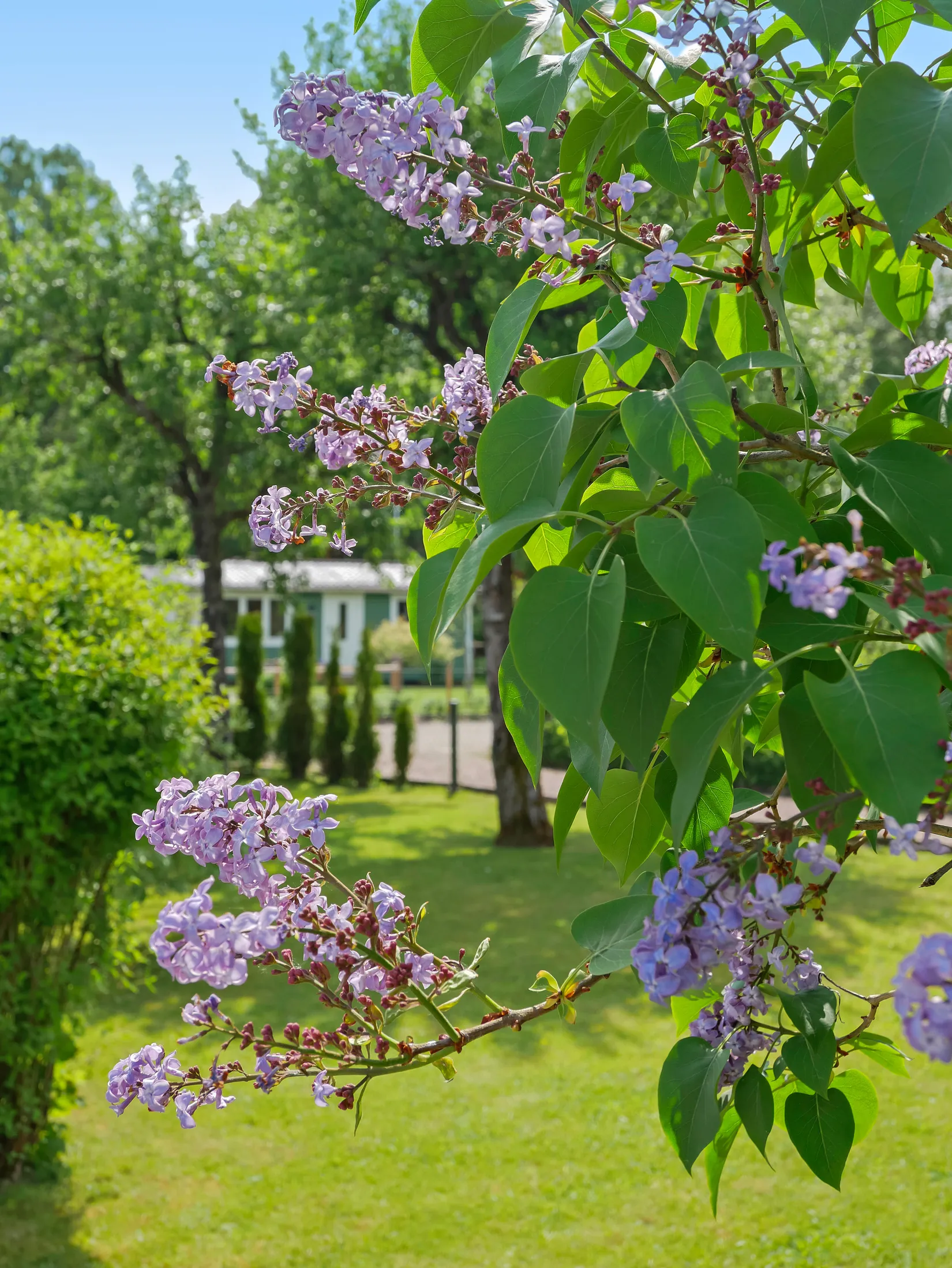 Övrigt, Sjöbo Sommarstad 122, Sjöbo, Borås