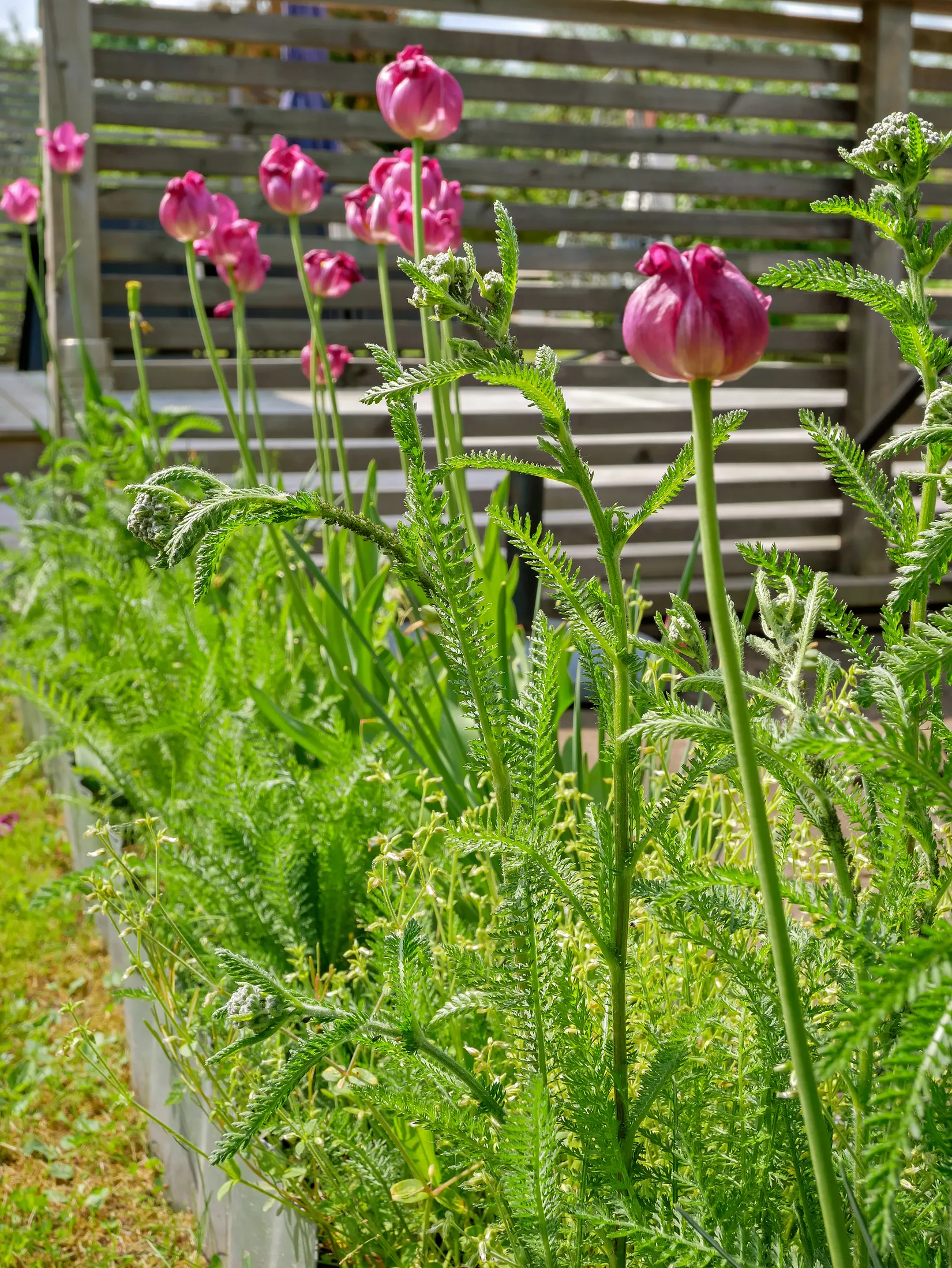 Övrigt, Sjöbo Sommarstad 122, Sjöbo, Borås