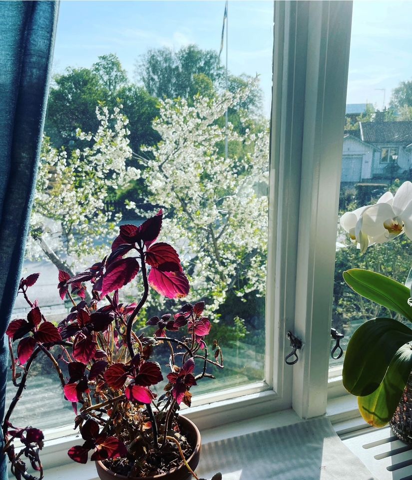 Bostadsrätt, Radhus, Holmersgatan 2D, Norrtälje stad - Kvisthamra, Norrtälje