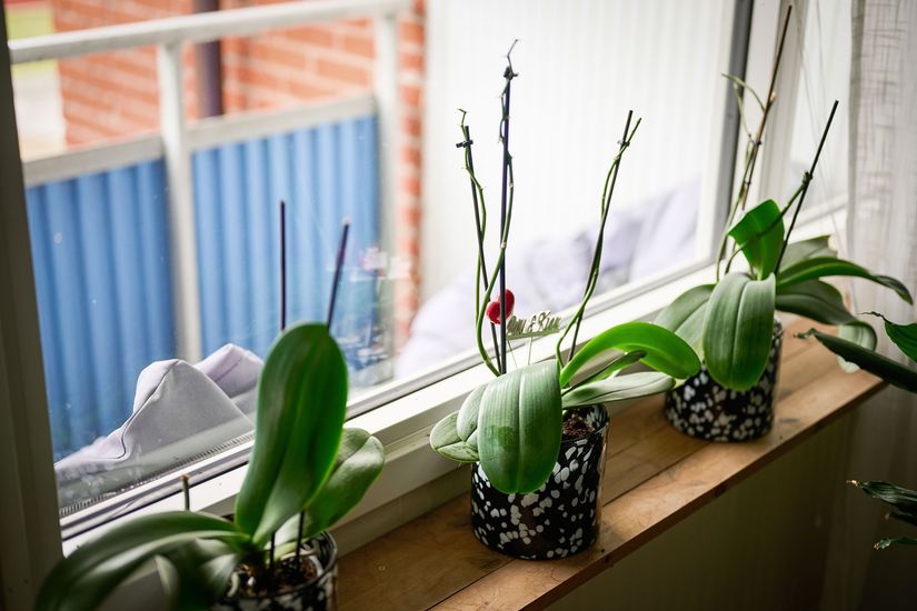 Bostadsrätt, Sägengatan 30, Hisings Backa, Göteborg