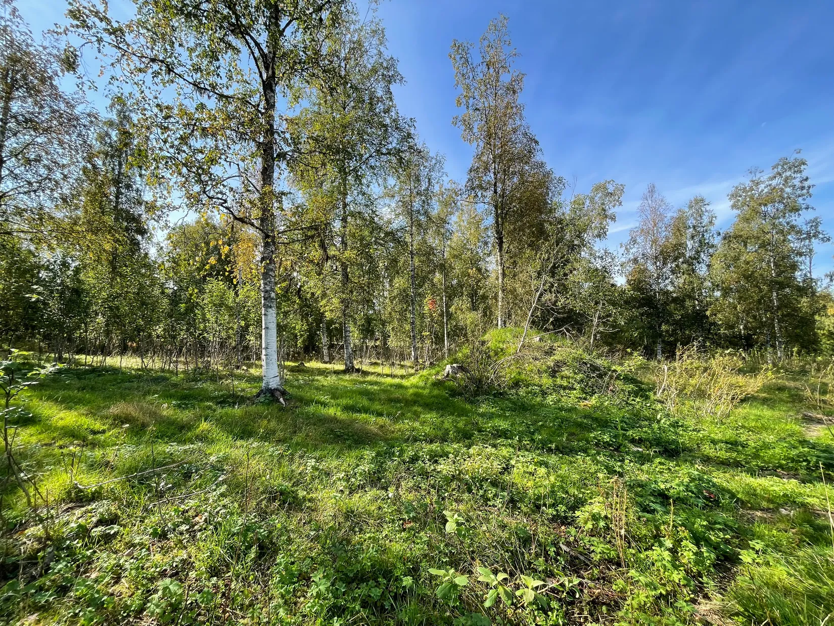 Tomt, Gundbyvägen, Evertsberg, Älvdalen