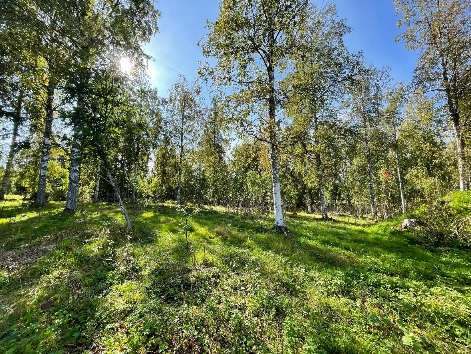 Tomt, Gundbyvägen, Evertsberg, Älvdalen