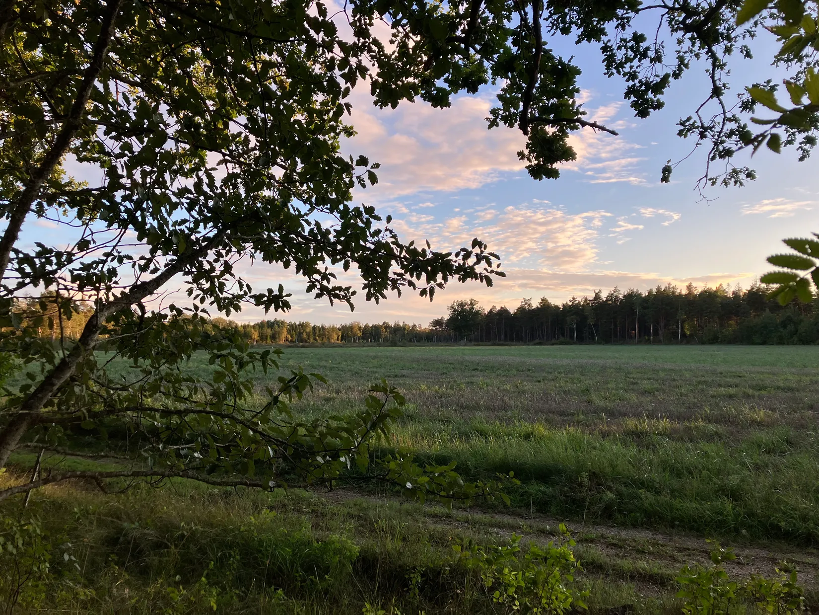 Villa, Vänge Prästbåtels 901, Buttle, Gotland