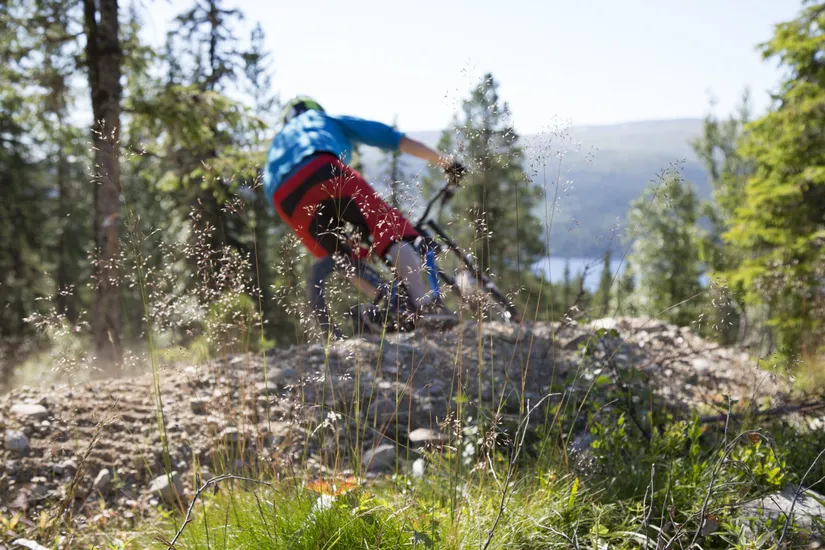 Bostadsrätt, Kåvanvägen 20, Härjedalen
