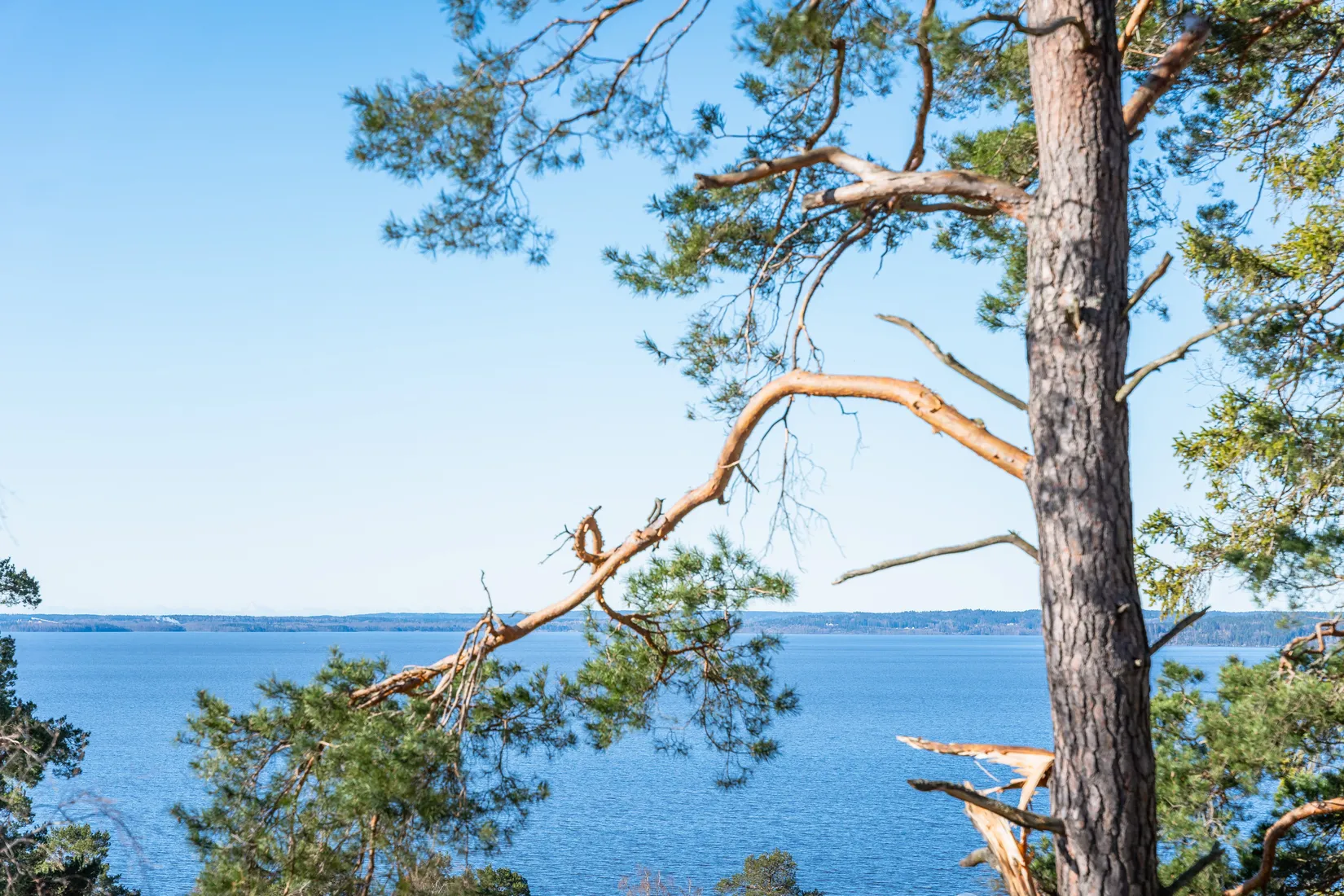 Tomt, Rosendalsvägen 5C, Svärtinge, Norrköping