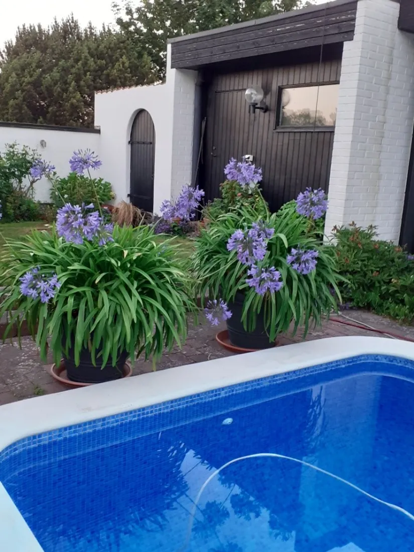 Villa, Radhus, Sandvipevägen 6, Falsterbo, Vellinge