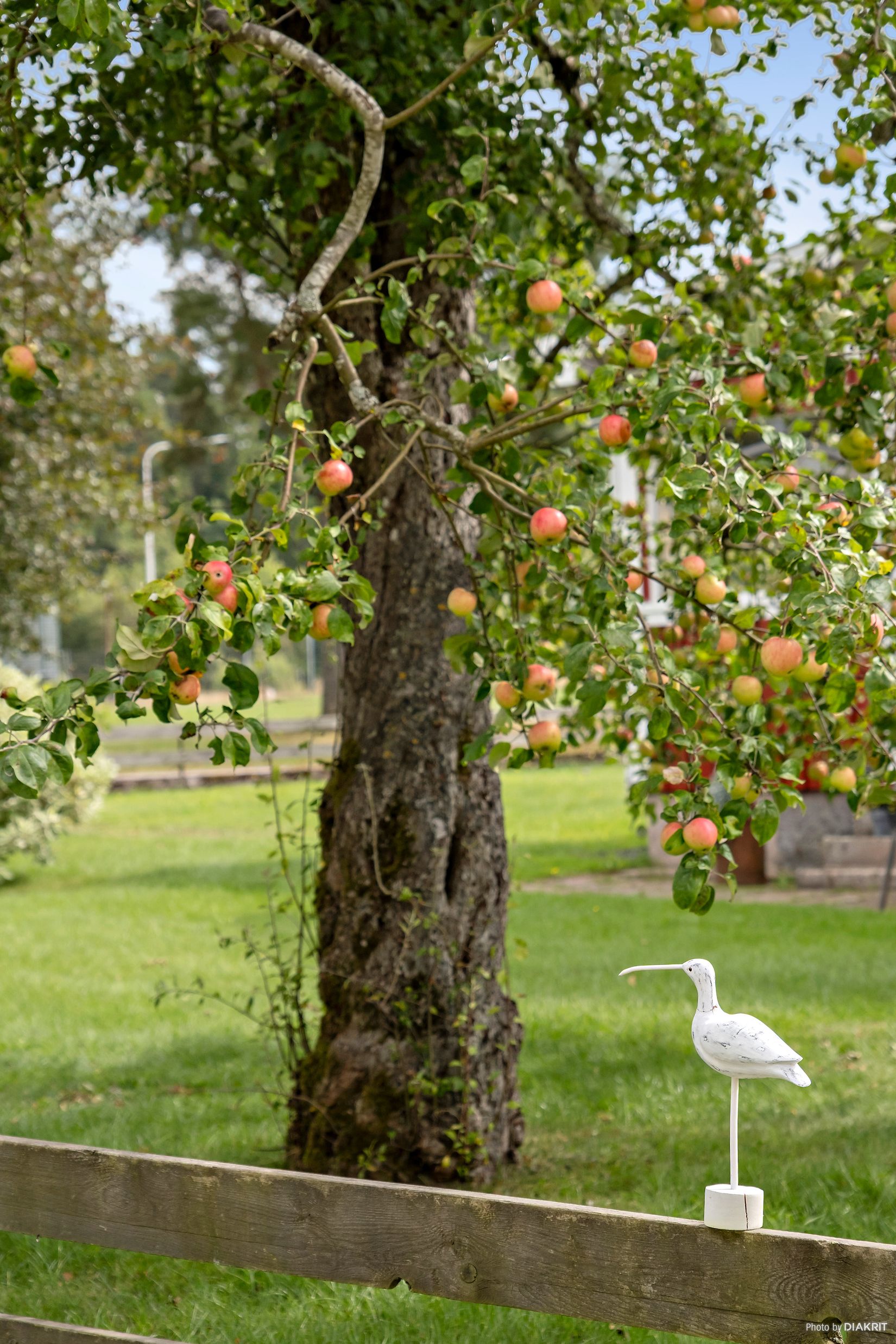 Villa, Tutaryd Nyhem 1, Tutaryd, Ljungby